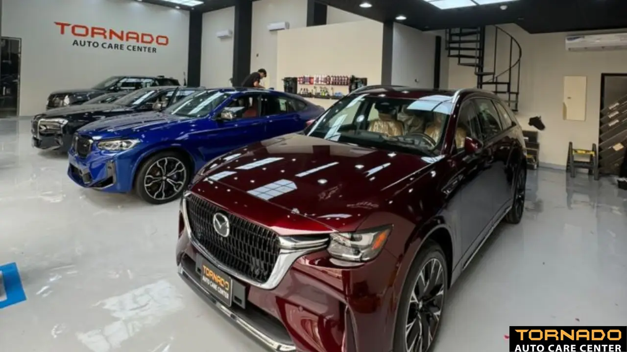 منتجات حماية السيارة